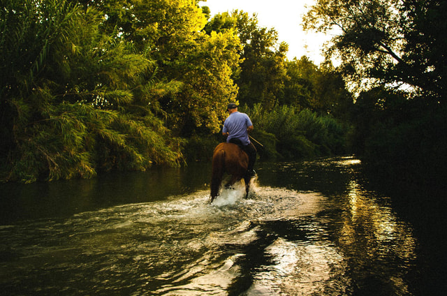 Luquillo: National Forest Foothills Guided Horseback Ride