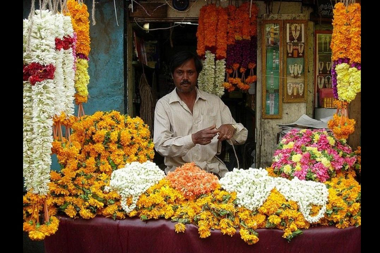 Spacer po dziedzictwie Jaipuru
