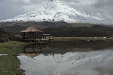De Quito: excursion d'une journée en groupe dans le parc national du Cotopaxi