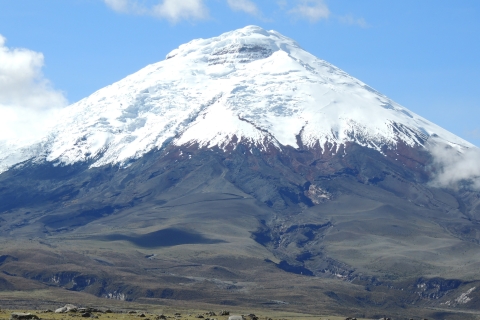 Van Quito: Cotopaxi National Park Groepsdagtrip