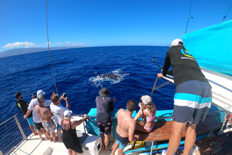 Kaanapali: Whale Watching Cruise with Open Bar