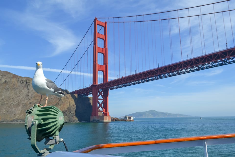 San Francisco: City Cruises Buffet Lunch or Dinner Cruise image 3
