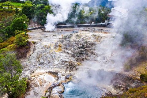 Furnas Valley Full-Day Volcano and Tea Plantation Tour