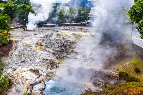 Excursion d'une journée complète dans la vallée de Furnas : volcan et plantation de thé