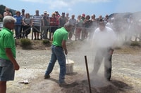 Ponta Delgada, Furnas Volcano & Tea Plantation Tour & Lunch - Housity