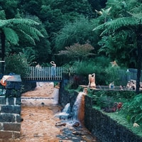 Ponta Delgada, Furnas Volcano & Tea Plantation Tour & Lunch - Housity