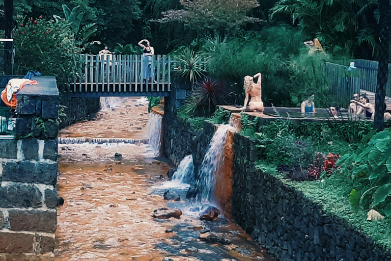 Excursion d'une journée complète dans la vallée de Furnas : volcan et plantation de thé