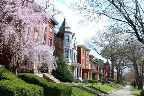 Old Louisville: History and Architecture Walking Tour