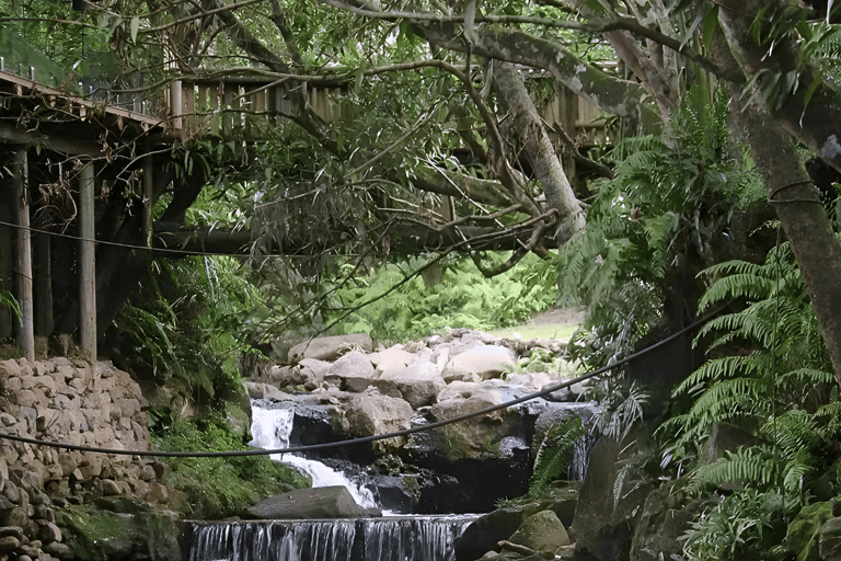 Zen Route | Vulkan, Seen, Wasserfälle, Zip-lining & MittagessenZen-Route | Mauritius Ganztagesausflug | Inklusive Mittagessen