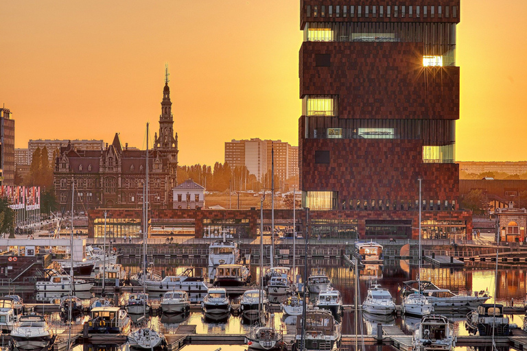 From Brussels: Guided Antwerp City Tour