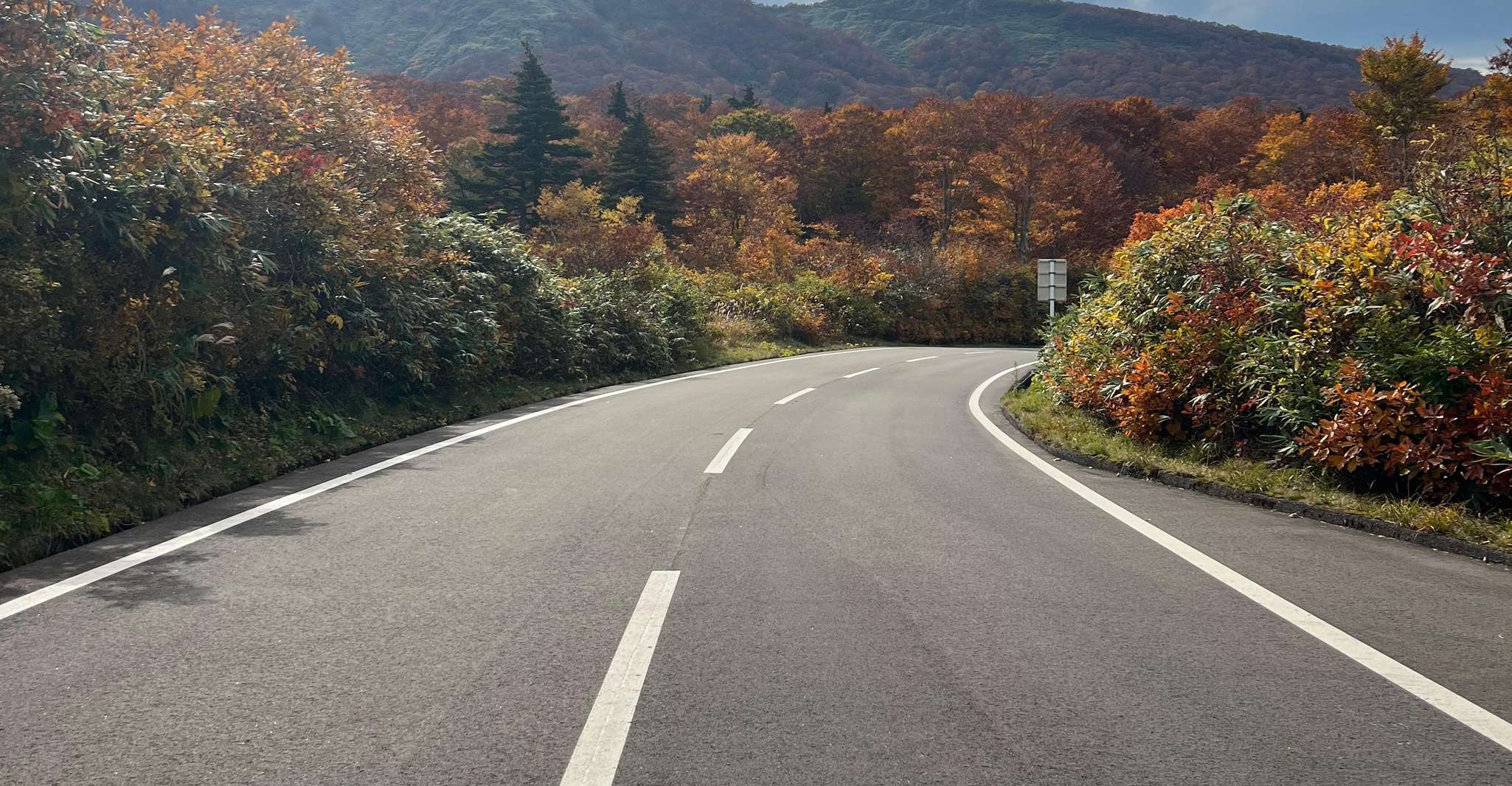 Driving Support in Akita - Hizvo