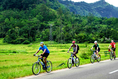 Bentota: Toddy-Jagd-Radtour in der Landschaft