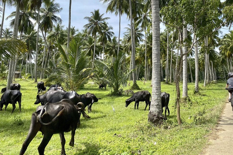 Bentota: Toddy-Jagd-Radtour in der Landschaft