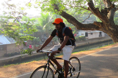 Bentota: Toddy-Jagd-Radtour in der Landschaft