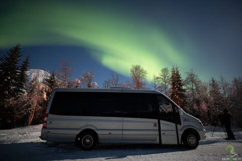 Tromsø: Northern Lights Trip with Campfire and Snacks