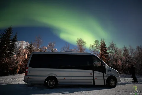 Tromsø: Nordlystur med bål og snacks