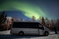 Tromsø, Northern Lights Voyage avec feux de camp et collations - Hizvo