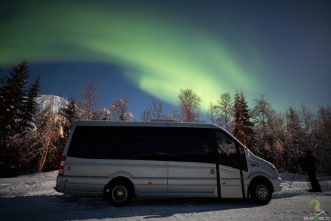 Tromsø: excursion d'une journée aux aurores boréales avec feu de camp et collations