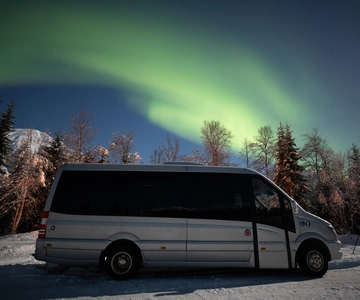 Tromsø: Northern Lights Trip with Campfire and Snacks