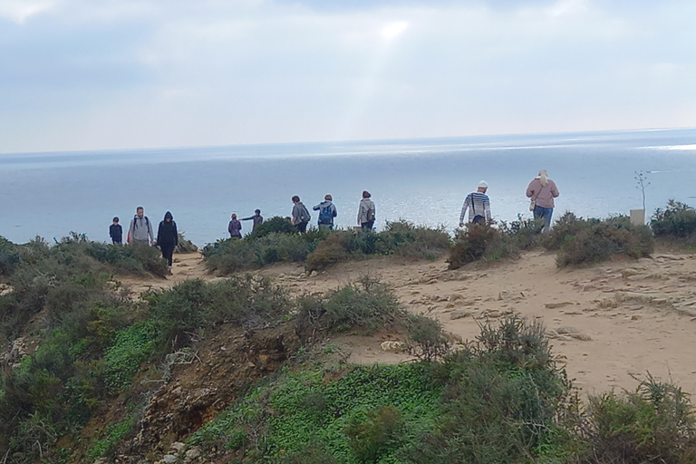 Algarve : visite privée d'une journée