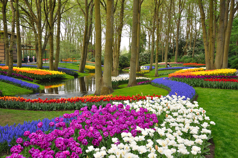 Magical Delft and the Keukenhof Estate: Tulips Galore Keukenhof Tulips and Delft Tour from Brussels