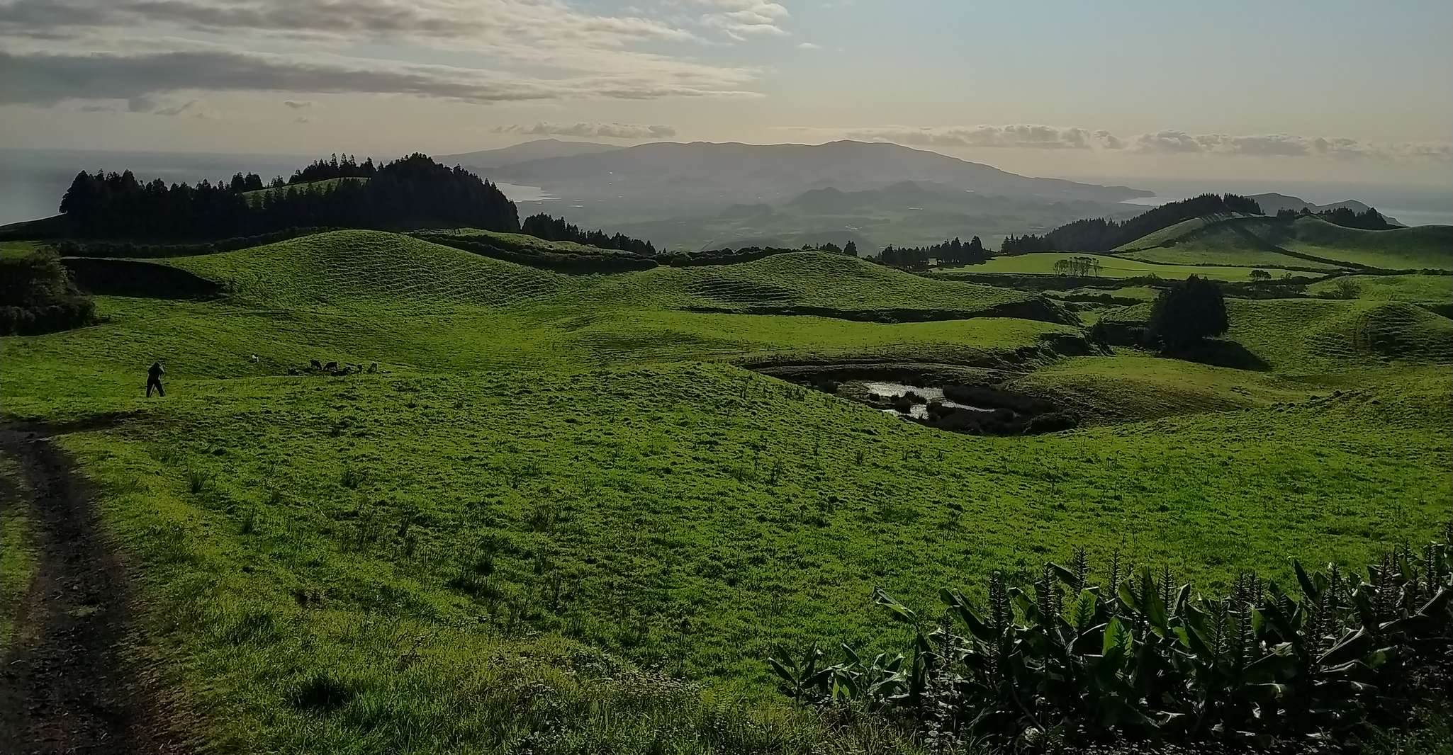 Ponta Delgada, Sete Cidades & Lagoa do Fogo Tour con Almuerzo - Hizvo