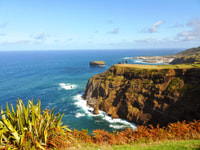 Ponta Delgada, Sete Cidades & Lagoa do Fogo Tour mit Mittagessen - Hizvo