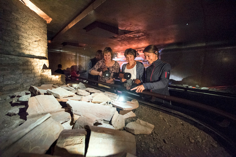 Utrecht: DOMunder Eintrittskarte