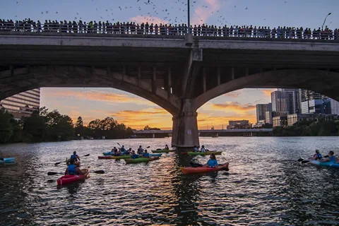 Austin: Congress Avenue Sunset Bat Kayaking Tour