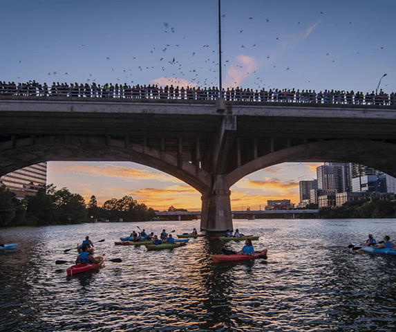 Austin: Congress Avenue Sunset Bat Kayaking Tour