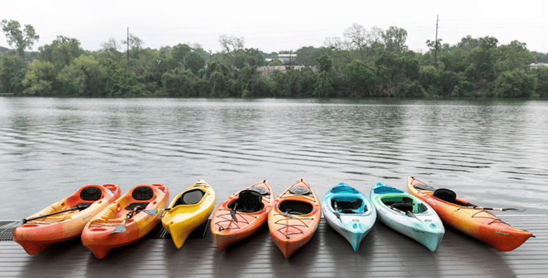 Kayaking Bat Austin Austin: Congress Avenue Sunset Bat Kayaking Tour | GetYourGuide
