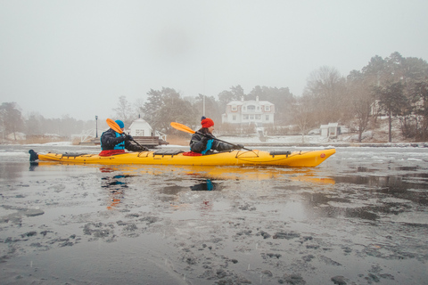 Stoccolma: Kayak invernale, Fika svedese e sauna caldaTour invernale in kayak