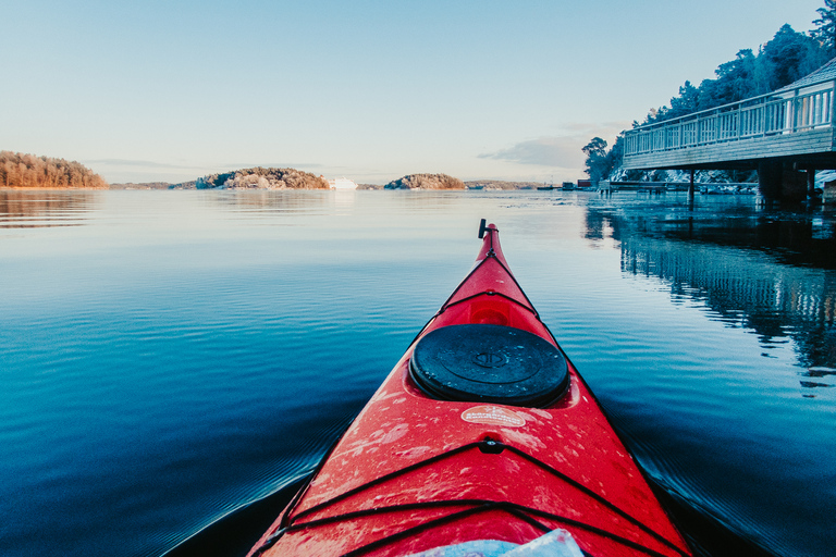 Stoccolma: Kayak invernale, Fika svedese e sauna caldaTour invernale in kayak