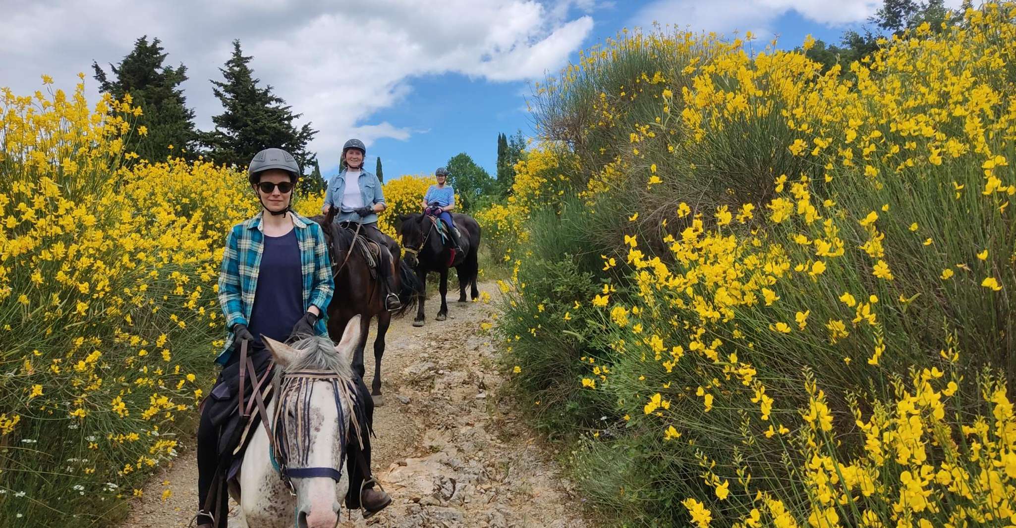 Escursione a cavallo di mezza giornata in Toscana per principianti
