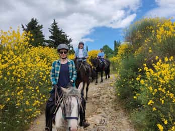 Excursion à cheval d'une demi-journée en Toscane pour débutants