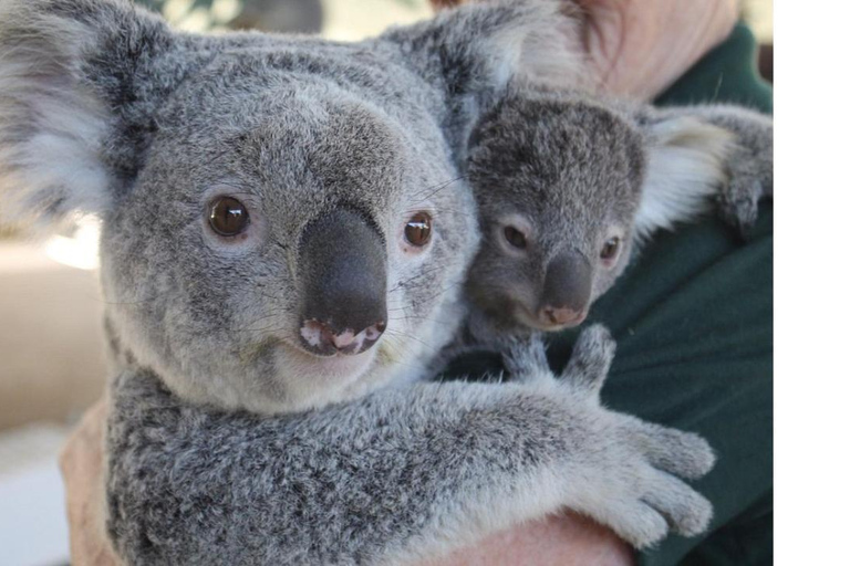 Perth Hills, Wildlife Park & Historic Pub Tour