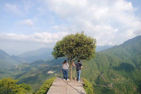 Chauffeured Ride to Silver and Love Waterfall, Lonely Tree