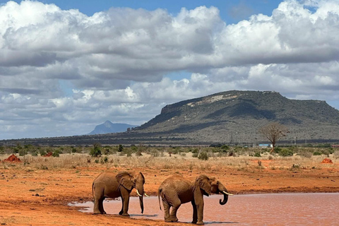 Mombasa: 5-Day Safari- Amboseli, SaltLick, Ziwani & Ngutuni