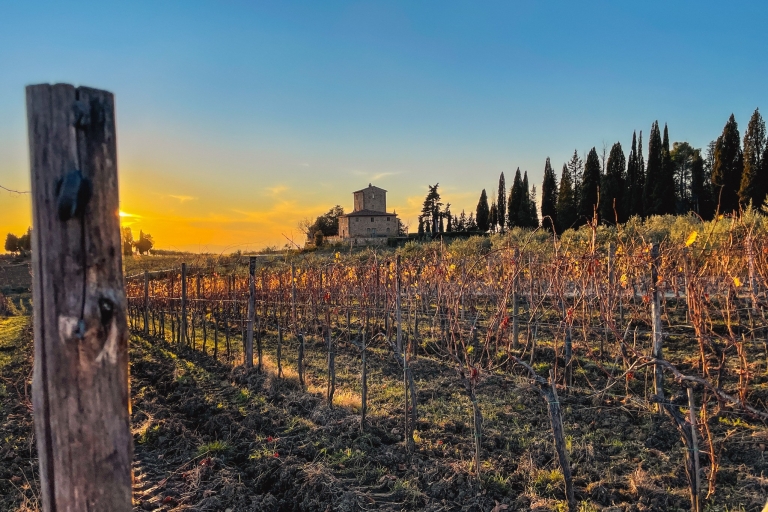 Florenz: Toskana & Chianti Classico Trek & Wein mit MittagessenErfahrung in kleiner Gruppe