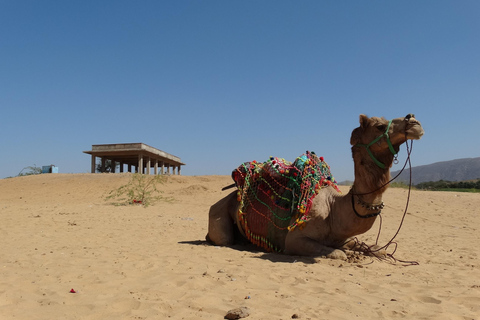 Au départ d&#039;Agra : Circuit de 5 jours au Rajasthan avec Ranthambore