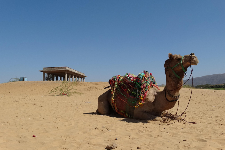 Au départ d&#039;Agra : Circuit de 5 jours au Rajasthan avec Ranthambore