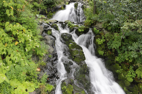 Shiretoko & Kiyosato: Five Lakes Full-Day Nature Tour