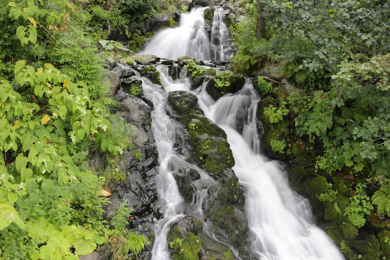 Shiretoko & Kiyosato: Five Lakes Full-Day Nature Tour