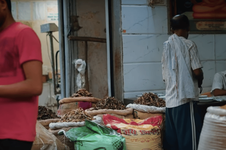 Delhi: tour guiado pela Khari Baoli Road com serviço de busca no hotelDelhi: Tour guiado pela Khari Baoli Road com serviço de busca no hotel