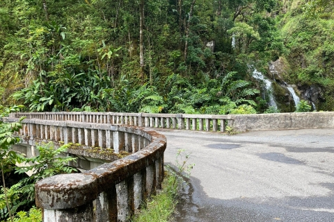 Maui: Road to Hana Private Adventure Tour avec SUV de luxeVisite privée de la route de Hana en SUV