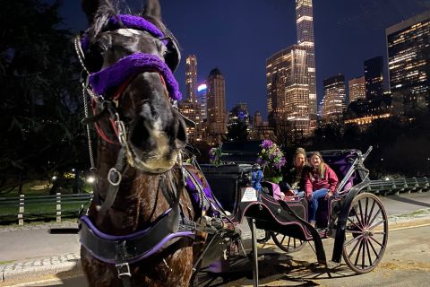 New York City: Private Horse Carriage Tour