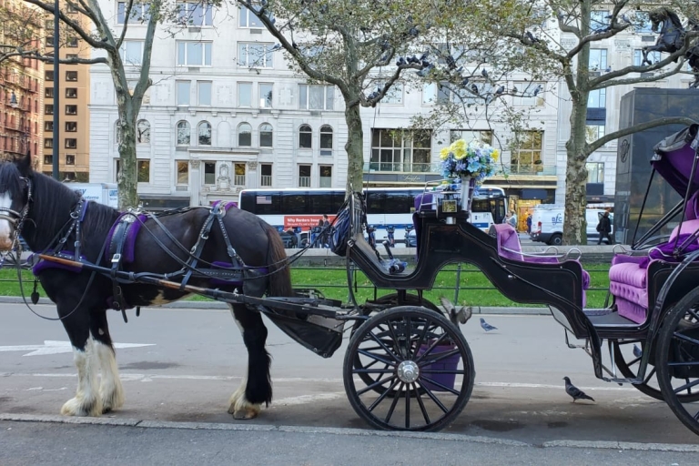 NYC: Rockefeller en Times Square VIP-tocht met paard en wagen