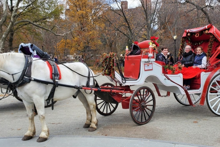 NYC: Rockefeller en Times Square VIP-tocht met paard en wagen