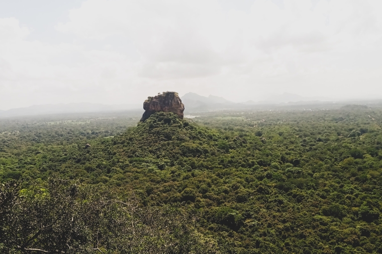 Sigiriya, Dambulla, Minneriya: Safari prywatnym samochodemOdbiór z Bentoty