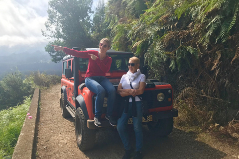 From Funchal: Madeira Island Private Jeep 4x4 Tour